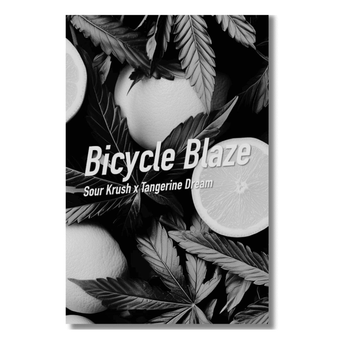 Bicycle Blaze