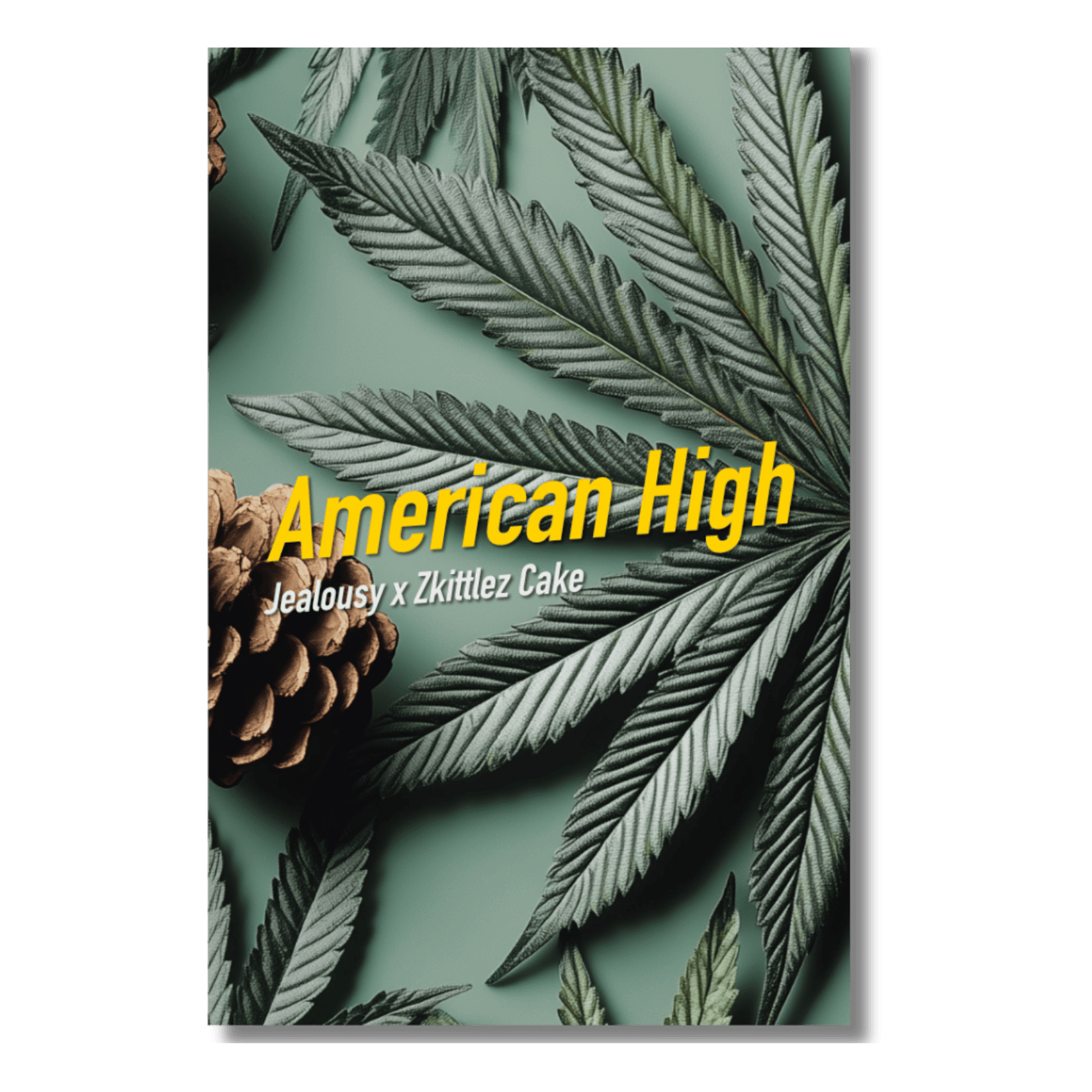 American High