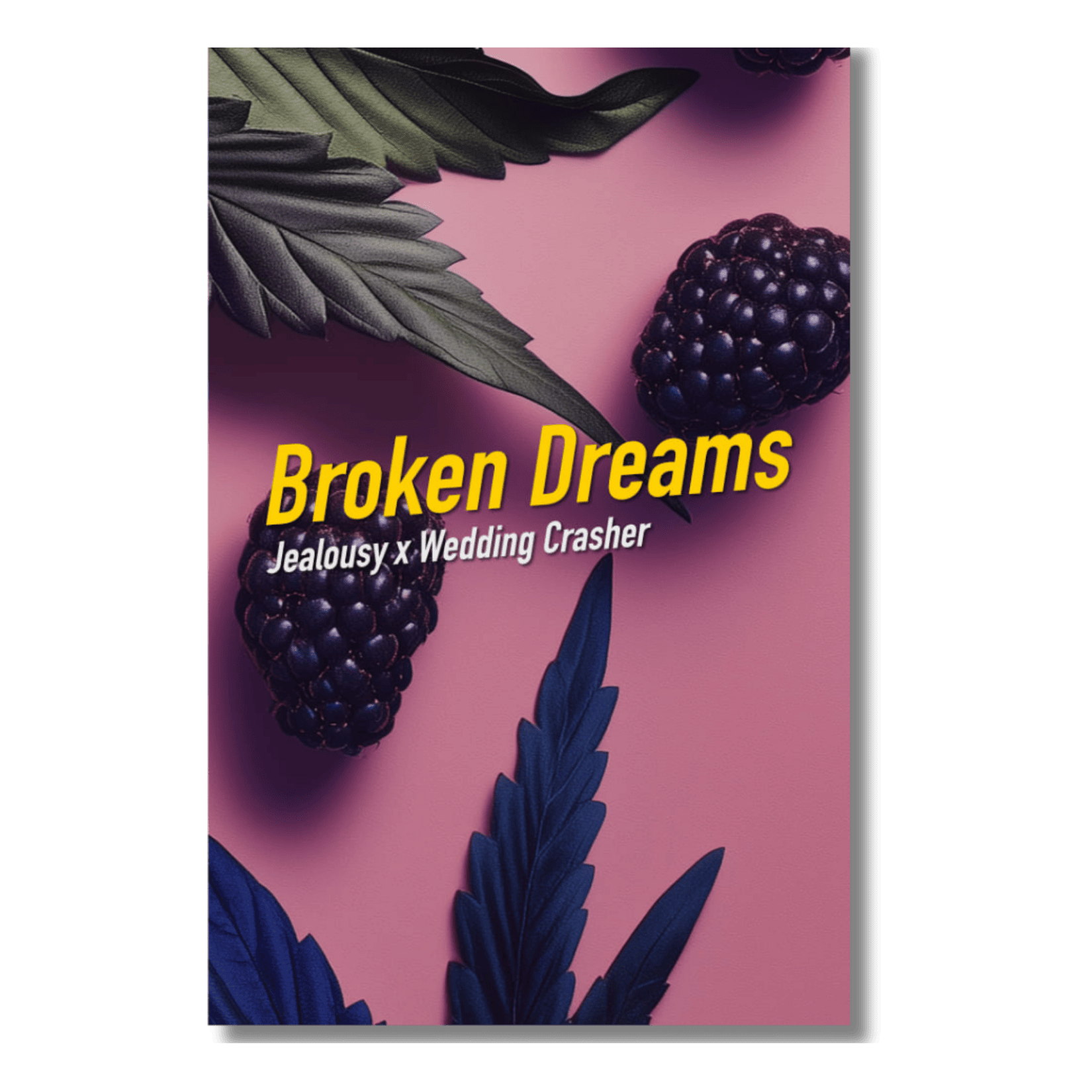 Broken Dreams